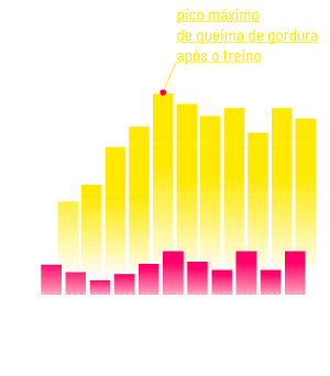 Grafico Mais Min